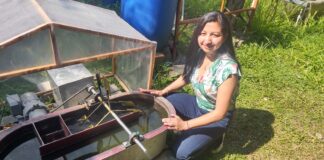 ¿Cómo pueden las microalgas ayudar a eliminar productos farmacéuticos de las aguas residuales en Cali, Colombia?