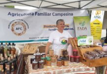 30 productores y empresarios azuayanos mostrarán sus productos frescos, su artesanía y sus terapias probadas durante dos días de feria Economía | Noticias