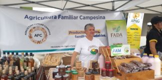30 productores y empresarios azuayanos mostrarán sus productos frescos, su artesanía y sus terapias probadas durante dos días de feria Economía | Noticias