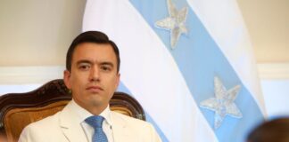 Daniel Noboa anuncia suspensión de apagones a partir del 20 de diciembre | Economía | Noticias