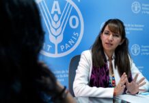 Representante de la FAO en Ecuador: Estamos trabajando en fondos de garantía. Hay mujeres y jóvenes que no tienen acceso al banco y eso los limita Economía | Noticias