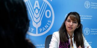 Representante de la FAO en Ecuador: Estamos trabajando en fondos de garantía. Hay mujeres y jóvenes que no tienen acceso al banco y eso los limita Economía | Noticias