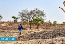 ¿Puede Ecuador crecer económicamente y reducir la pobreza con política climática?