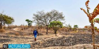 ¿Puede Ecuador crecer económicamente y reducir la pobreza con política climática?