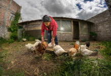 Banco Contactar recibe inversión de $15 millones para fortalecer las microfinanzas rurales en Colombia