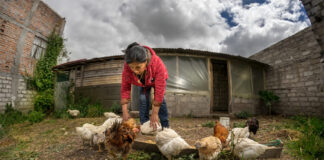 Banco Contactar recibe inversión de $15 millones para fortalecer las microfinanzas rurales en Colombia