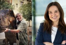 Así se realiza el paso de Cepsa a Moeve