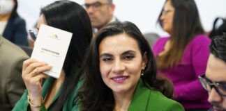 Verónica Abad y su revés ante el Tribunal Constitucional, ¿qué recursos le quedan?