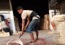 El Parlamento Europeo ha aprobado una ampliación del reglamento que pretende impedir la importación de productos procedentes de zonas deforestadas | Economía | Noticias