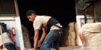 El Parlamento Europeo ha aprobado una ampliación del reglamento que pretende impedir la importación de productos procedentes de zonas deforestadas | Economía | Noticias