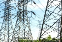 Respuesta de Celec a declaraciones de Progen: No se presentó ninguna evaluación económica al cronograma | Economía | Noticias