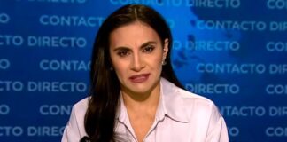 Verónica Abad buscaría reducir el IVA, reactivar subsidios a los combustibles y reorganizar el Gabinete de Ministros si llega a la presidencia | Política | Noticias