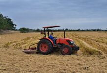 El Ministerio de Agricultura ha aprobado el Plan Agrario 2024-2025: aumentará las ayudas y apoyos | Economía | Noticias