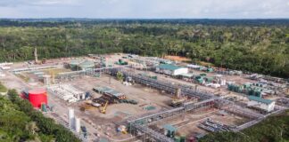 Consejo de Participación Ciudadana aprobó informes que reconocen persistencia de incumplimientos de la consulta popular por el Yasuní de 2023 | Política | Noticias