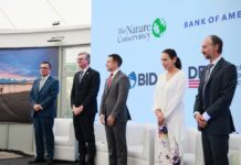 Gobierno anuncia conversión de deuda, con el objetivo de reducir más de 800 millones de dólares para 2035 para proteger la Amazonía | Economía | Noticias