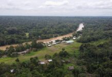 Deuda de Ecuador se puede reducir en $527 millones en un canje por la Economía Amazónica | Noticias