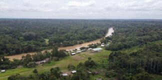 Deuda de Ecuador se puede reducir en $527 millones en un canje por la Economía Amazónica | Noticias