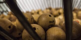 La lotería sigue deleitando al público de los hogares españoles