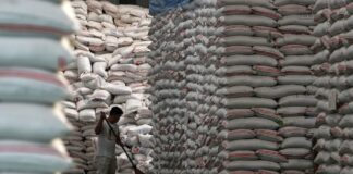 Una parte del sector manufacturero no está de acuerdo con el nuevo precio del arroz en 2025, mientras los industriales respaldan el consenso alcanzado | Economía | Noticias