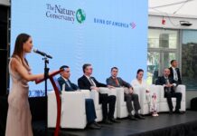 El canje de bonos de conservación del Amazonas impacta la reducción de la deuda pública y el riesgo país | Economía | Noticias