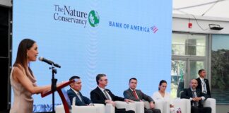 El canje de bonos de conservación del Amazonas impacta la reducción de la deuda pública y el riesgo país | Economía | Noticias