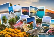 Las tendencias que están cambiando la industria de viajes