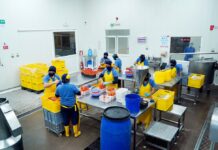 La economía de Ecuador crecerá un 0,8% en 2024, según nueva estimación de la CEPAL Economía | Noticias