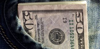 El IVA representa casi la mitad de todos los ingresos tributarios: generó $8.877 millones de enero a noviembre de 2024 | Economía | Noticias