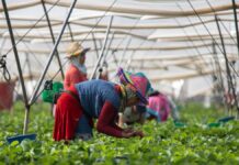 La estancia de los extranjeros ocupados en el país de origen ya no tiene por qué coincidir con el año natural | Negocio