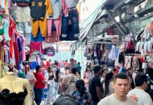 Estos son los diez sectores económicos que más impuestos pagan en Ecuador