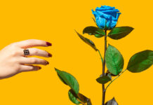 Las marcas necesitan llegar a nuevos clientes para crecer