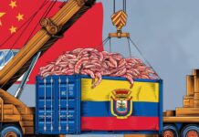 Ecuador siente los efectos de la situación económica de China