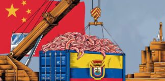 Ecuador siente los efectos de la situación económica de China
