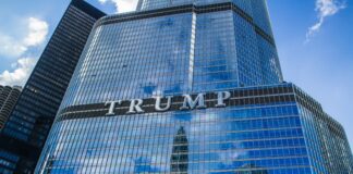 Una mirada a cómo la nueva administración de Donald Trump podría impactar el capital de riesgo en América Latina •