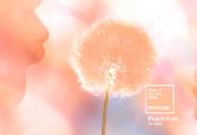 Pantone nombra “Peach Fuzz” el color del año para 2024
