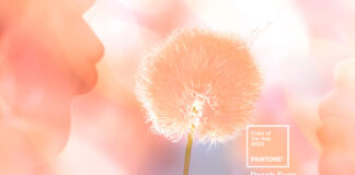Pantone nombra “Peach Fuzz” el color del año para 2024