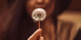 Estas son las 5 predicciones de marketing de la WFA para 2025