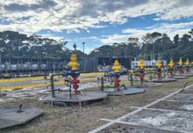 Yasuní itt: Petroecuador cerró 10 fuentes en 2024 y comenzará con 48 fuentes en abril, que corresponden a 2025. Por lo tanto, la producción se apaga | Economía | Noticias