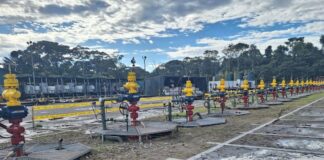 Yasuní itt: Petroecuador cerró 10 fuentes en 2024 y comenzará con 48 fuentes en abril, que corresponden a 2025. Por lo tanto, la producción se apaga | Economía | Noticias