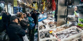 Spanien schafft im Jahr 2024 502.000 Arbeitsplätze und schließt den Dezember mit der niedrigsten Arbeitslosenzahl seit 17 Jahren ab | Wirtschaft