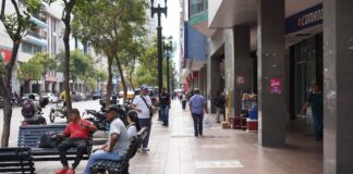 Estas son las diez ideas de negocios que resultarán exitosas en Ecuador al 2025