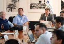 Después de 13 años, el Ministerio de Agricultura crea una nueva formación para el Consejo Consultivo del Maíz | Economía | Noticias