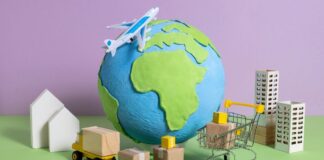 Minerva Insights adjinn