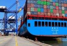 Aduanas: Ecuador cerró 2024 con un aumento de casi 17% en exportaciones no petroleras | Economía | Noticias