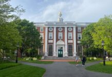 Las universidades españolas quieren replicar los minifondos soberanos de Harvard o Yale | Fondos y planes