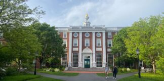 Las universidades españolas quieren replicar los minifondos soberanos de Harvard o Yale | Fondos y planes