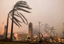 No podemos permitírnoslo | Negocio