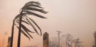 No podemos permitírnoslo | Negocio