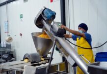 El Banco Mundial estima que el PIB de Ecuador caerá un 0,7% en 2024 | Economía | Noticias