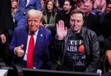 La implicación política de Musk amplía su imperio empresarial | Negocio